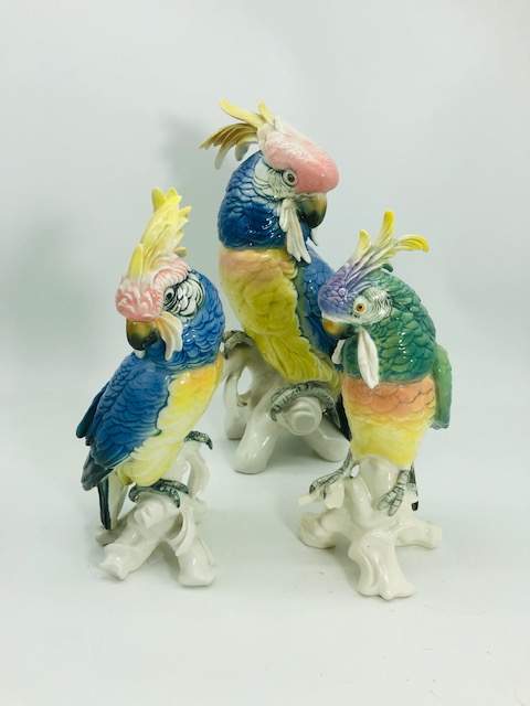 Porselen Çeşitli Papağanlar Parrot
